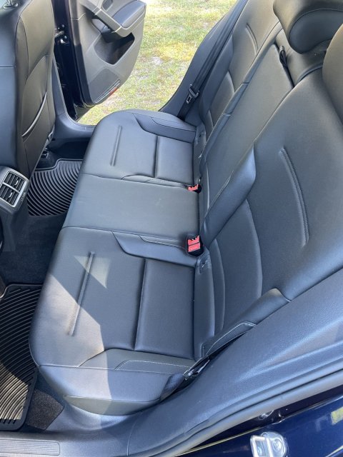 IMG_5121 (Large).JPG